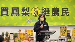 台湾新国安团队上任 迎来凤梨被禁难题