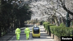 保安人员跟随一辆5G自动汽车在关闭的武汉大学内拍摄盛开的樱花。(2020年3月17日)