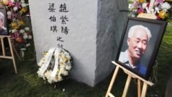 赵紫阳墓前采访王雁南:不敢相信这是真的 赵紫阳墓前采访王雁南:不敢相信这是真的