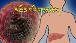 Chữa bịnh viêm gan B bằng tenofovir Chữa bịnh viêm gan B bằng tenofovir