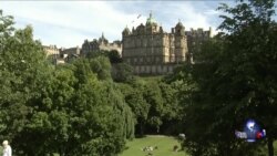 反恐、脱欧主导英国选举议题 反恐、脱欧主导英国选举议题