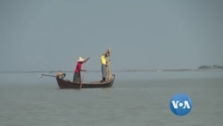 ကိုဗစ်ကြောင့် ဧရာဝတီလင်းပိုင်းစောင့်ရှောက်ရေး ထိခိုက် ကိုဗစ်ကြောင့် ဧရာဝတီလင်းပိုင်းစောင့်ရှောက်ရေး ထိခိုက်