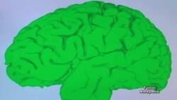 США дають 3 мільярди на вивчення роботи мозку США дають 3 мільярди на вивчення роботи мозку