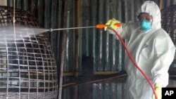 H5N1 ကူးစက်ပြန့်ပွားမှု မဖြစ်စေရန် ထိုင်းနိုင်ငံတွင်းက ကြက်မွေးမြူရေးခြံတွေမှာ လုပ်ဆောင်စဉ်။