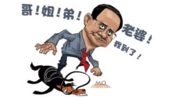 火墙内外:有关令计划报道被严加管控 火墙内外:有关令计划报道被严加管控