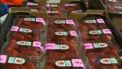 ဒီသီတင်းပတ် အာရှစီးပွားရေး ဒီသီတင်းပတ် အာရှစီးပွားရေး