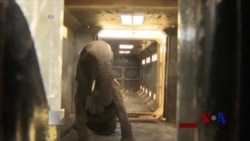 马拉维五百头象大搬家 马拉维五百头象大搬家