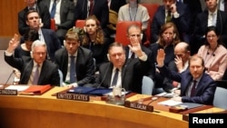 美国国务卿蓬佩奥在联合国安全理事会会议上投票表决委内瑞拉问题(2019年1月26日)