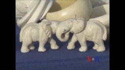 美国禁止象牙交易 全球协力拯救濒危大象 美国禁止象牙交易 全球协力拯救濒危大象