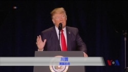 川普誓言废除约翰逊修正案 川普誓言废除约翰逊修正案