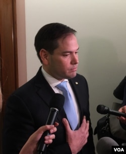 2018年2月15日,美国共和党参议员鲁比奥在外交委员会听证会后,接受媒体采访。(美国之音记者扬之初拍摄)