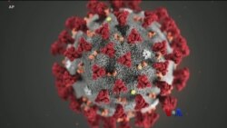 ရှာဖွေစမ်းသပ်ဆဲ COVID-19 ကုသဆေး