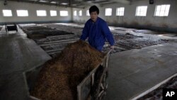 北京北郊一家酒厂的工人正在推一车高粱准备酿酒。(资料照片)