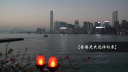 黎智英助手:香港人是习近平送世界的礼物 黎智英助手:香港人是习近平送世界的礼物