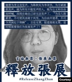 资料照:维权组织发布的要求中国当局释放张展的宣传画 (图片来自维权网)