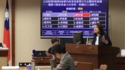 台湾亲民党籍立委陈怡洁在立法院质询陆委会官员(美国之音齐勇明拍摄,2019年10月30日)