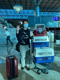 台湾驻美代表萧美琴2020年7月22日带爱猫赴美上任(萧美琴脸书)