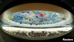 资料图:鱼眼镜头下的联合国人权理事会会议场景