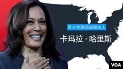 加利福尼亚州联邦参议员卡玛拉·哈里斯