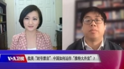 时事大家谈:批美“封号禁言”,中国如何运作“推特大外宣”? 时事大家谈:批美“封号禁言”,中国如何运作“推特大外宣”?