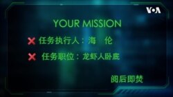 【美国学徒】一周狂赚一万美金!还有员工福利免费吃龙虾,这样的好工作你来不来?揭秘美国龙虾产业链真相(三) 【美国学徒】一周狂赚一万美金!还有员工福利免费吃龙虾,这样的好工作你来不来?揭秘美国龙虾产业链真相(三)