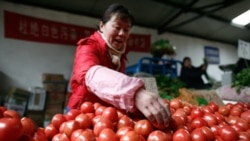 中国欲建设“统一大市场”:重回计划经济还是清除发展壁垒? 中国欲建设“统一大市场”:重回计划经济还是清除发展壁垒?