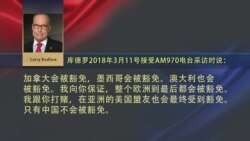 VOA连线(黄耀毅):新任白宫经济顾问库德罗:中国将是唯一被征收关税的国家 VOA连线(黄耀毅):新任白宫经济顾问库德罗:中国将是唯一被征收关税的国家