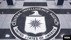 中情局网站图片 中央情报局标识