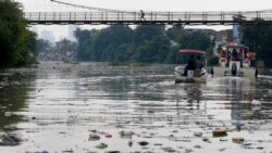 ပလပ်စတစ်စား အင်ဇိုင်းသစ် တွေ့ရှိ ပလပ်စတစ်စား အင်ဇိုင်းသစ် တွေ့ရှိ