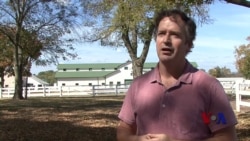 地下表演者们把蓝草音乐带上新高度 地下表演者们把蓝草音乐带上新高度