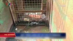 Việt Nam: Formosa chỉ được xả thải khi bảo đảm an toàn Việt Nam: Formosa chỉ được xả thải khi bảo đảm an toàn