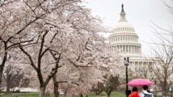 အမေရိကန် အလည်အပတ် ခရီးစဉ် အတွက် ပြည်ဝင်ခွင့် ရနိုင်ခြေ အမေရိကန် အလည်အပတ် ခရီးစဉ် အတွက် ပြည်ဝင်ခွင့် ရနိုင်ခြေ