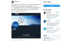 美国智库2049项目研究所研究员庄宛桦推特帐号因支持台湾推文遭国际民航组织屏蔽(取自推特)