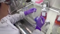 美传染病专家:对抗新冠要靠疫苗 也要靠公众认知 美传染病专家:对抗新冠要靠疫苗 也要靠公众认知