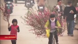 Nên hay không nên bỏ Tết ta? Nên hay không nên bỏ Tết ta?