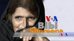 بي بي شیرینه – وي او اې ډيوه په ټیلې ویژن بي بي شیرینه – وي او اې ډيوه په ټیلې ویژن