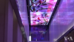 “圣经博物馆”的前世今生 “圣经博物馆”的前世今生