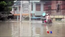 မိုးထဲလေထဲ မြွေအန္တရာယ် မိုးထဲလေထဲ မြွေအန္တရာယ်