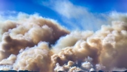 ကယ်လီဖိုးနီးယား တောမီး ပိုကျယ်ပြန့်ကြီးမားလာ