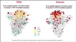 Omicron ကိုဗစ်မျိုးကွဲသစ်ကူးစက်သူ ၆ ဦး စကော့တလန်မှာတွေ့ရှိ Omicron ကိုဗစ်မျိုးကွဲသစ်ကူးစက်သူ ၆ ဦး စကော့တလန်မှာတွေ့ရှိ