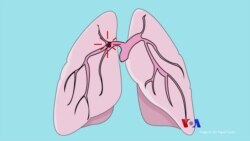 ကိုဗစ်ဖြစ်ပြီးနောက်ပိုင်း ဘာ့ကြောင့် နှလုံးခုန်မြန် ကိုဗစ်ဖြစ်ပြီးနောက်ပိုင်း ဘာ့ကြောင့် နှလုံးခုန်မြန်