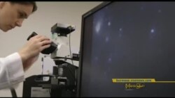 နာနိုအမှုန် နဲ့ ကင်ဆာရောဂါတိုက်ဖျက်မှု ကုထုံး နာနိုအမှုန် နဲ့ ကင်ဆာရောဂါတိုက်ဖျက်မှု ကုထုံး