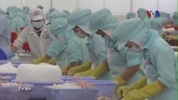 Truyền hình vệ tinh VOA 10/12/2015 Truyền hình vệ tinh VOA 10/12/2015