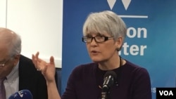 美国戴维森学院政治学教授任雪丽 (美国之音钟辰芳拍摄)