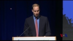 威廉王子批评中国象牙热助长偷猎 威廉王子批评中国象牙热助长偷猎