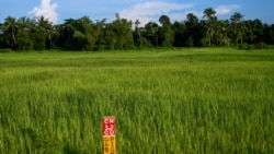 စဈရေးပဋိပက်ခကွောင့ျ ရခိုငျမိုးစပါးစိုကျကှကျနညျးလာ စဈရေးပဋိပက်ခကွောင့ျ ရခိုငျမိုးစပါးစိုကျကှကျနညျးလာ