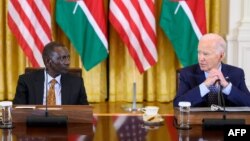美国总统拜登与肯尼亚总统威廉·鲁托(William Ruto)和商界领导人在白宫举行会谈。(2024年5月22日)