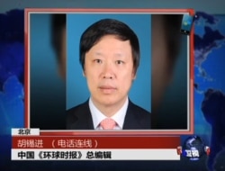 资料照:环球时报主编胡锡进