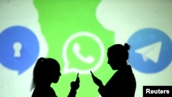 资料照:社交媒体Signal, Whatsapp 与Telegram 出现在一个画面上。