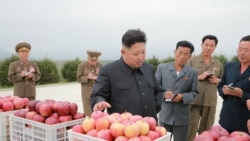 焦点对话:周旋于大国之间,金正恩成了香饽饽? 焦点对话:周旋于大国之间,金正恩成了香饽饽?